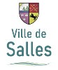 Ville de Salles